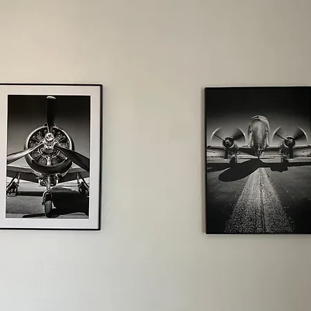 아파트 Cerna Ruze - 3 플젠