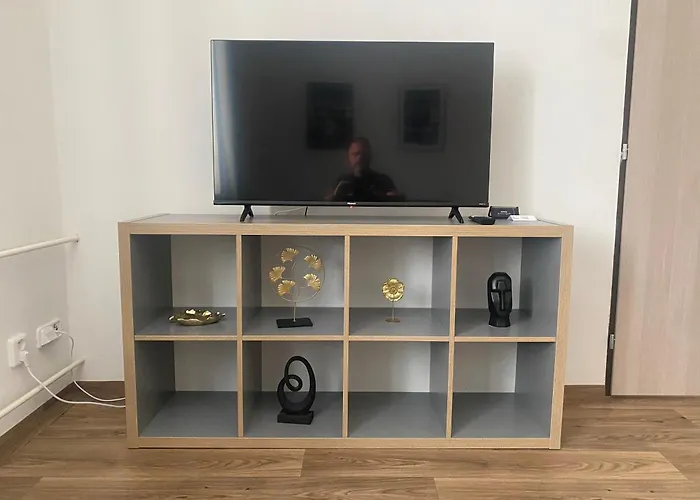 Cerna Ruze - 3 Daire Plzeň