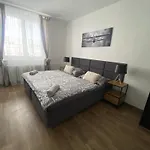 Апартаменты Cerna Ruze - 3 *