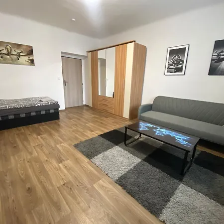 アパート Cerna Ruze - 3 プルゼニ